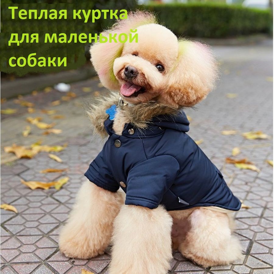 Как сделать теплую куртку для маленькой собаки