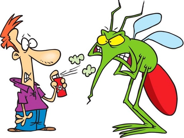 Зачем бороться с комарами или в чем их опасность? Как комары проникают в наше жилище? Лучшие способы и народные средства, которые помогут бороться с комарами в квартире, частном доме, на дачном участке? Как быстро избавиться от комаров при помощи самодельной ловушки?