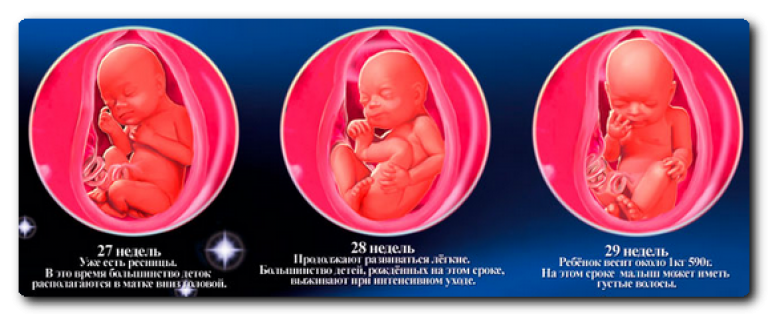 Картинки 31 неделя беременности