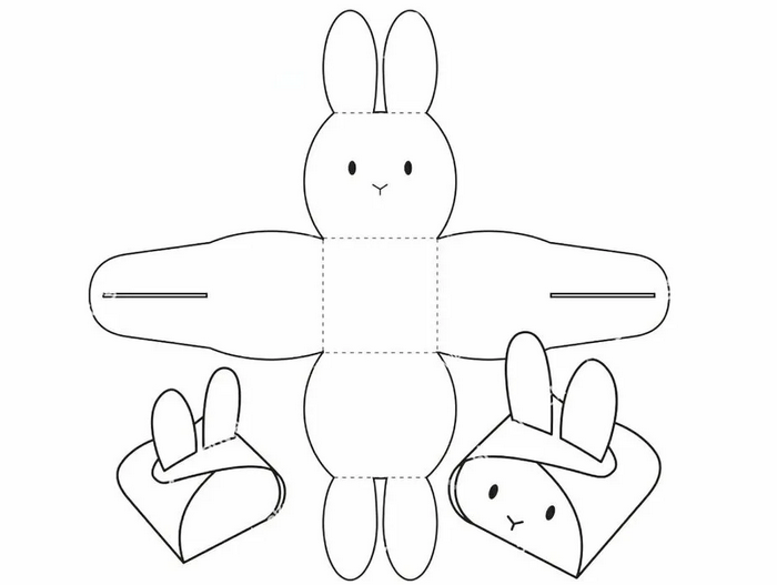 Instructions pour le lapin