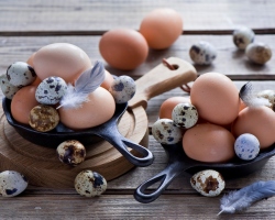 Is it possible to eat raw eggs - benefits and possible harm