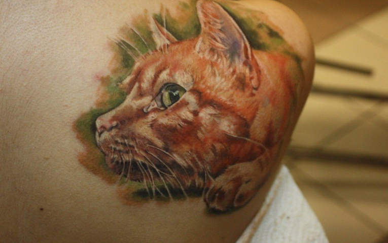 Gyönyörű tetoválások macskákkal