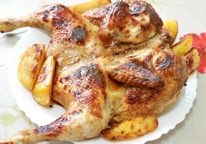 Chicken from the oven