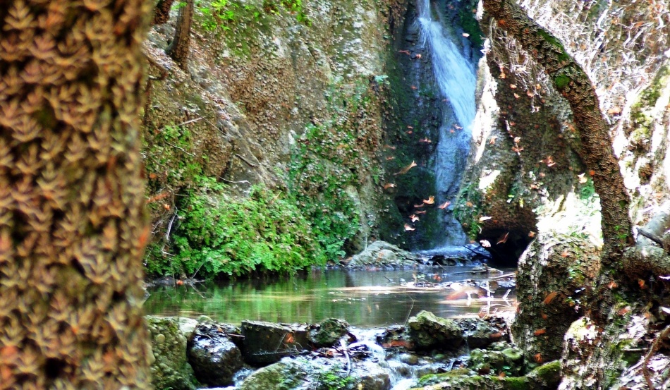 Pillangó -völgy, O. Rodos, Görögország