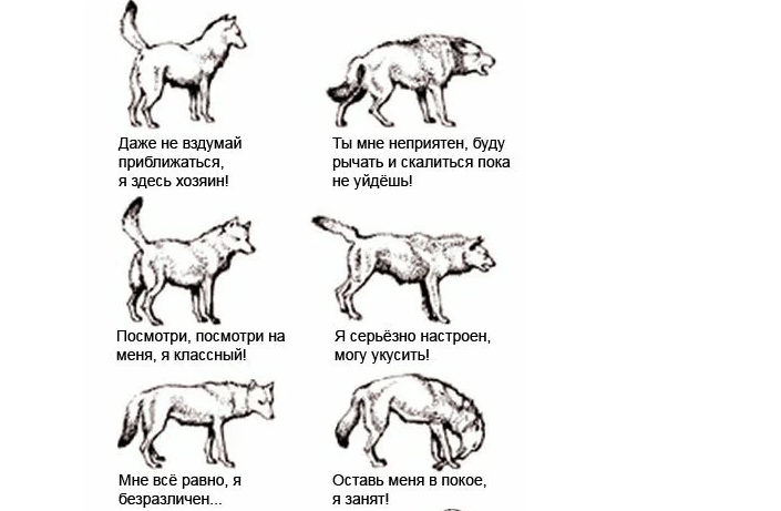 Funzioni di coda