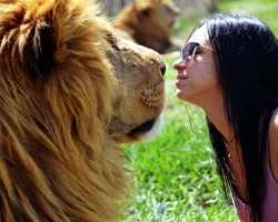 A kompatibilitás jelei: Szűz és férfi oroszlán nő