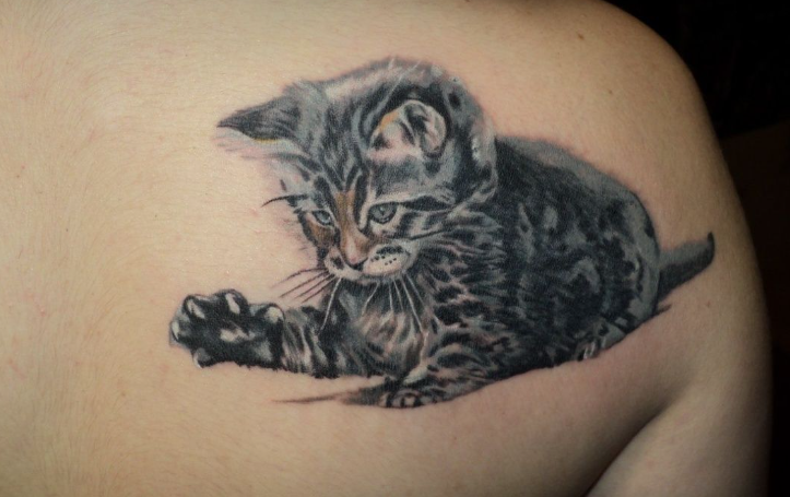 Gyönyörű tetoválások macskákkal