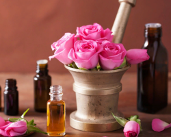 Rose Essential Oil: Sifat ajaib, bagaimana cara menggunakannya? Bagaimana cara membuat minyak esensial mawar di rumah?