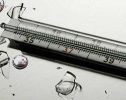 Un thermomètre Mercury s'est écrasé dans l'appartement: que faire à la maison, où aller, où remettre Mercure, un thermomètre cassé? Le mercure est-il dangereux d'un thermomètre cassé: conséquences, symptômes et signes de mercurisme, empoisonnement au mercure