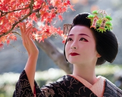 The secrets of Japanese geisha in bed. The art of love of Japanese geisha - teaching geisha sex: video