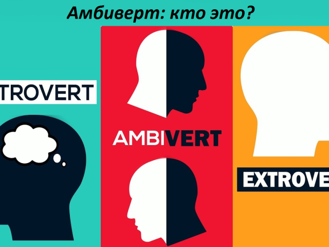 Амбиверт: кто это, как распознать? Кого больше — интровертов, экстравертов или амбивертов?