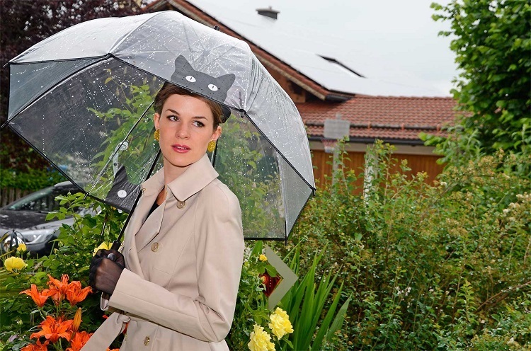 Ein Regenschirm mit einer transparenten Kuppel, auf der eine Katze dargestellt wird