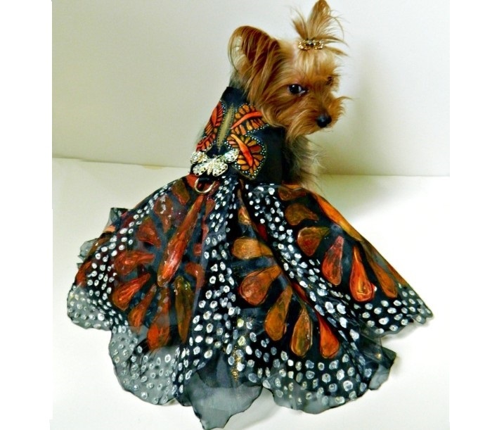 Fashionable glamorous clothing for dogs of small breeds