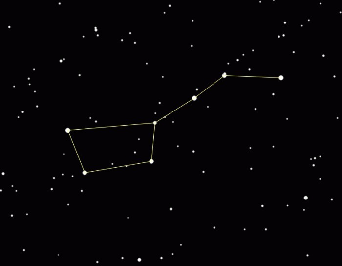 The constellation Big Bear