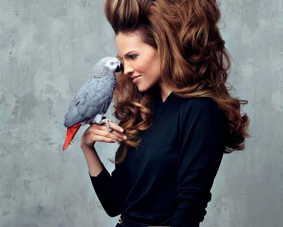 Peigne pour ceux qui veulent se frapper la coiffure