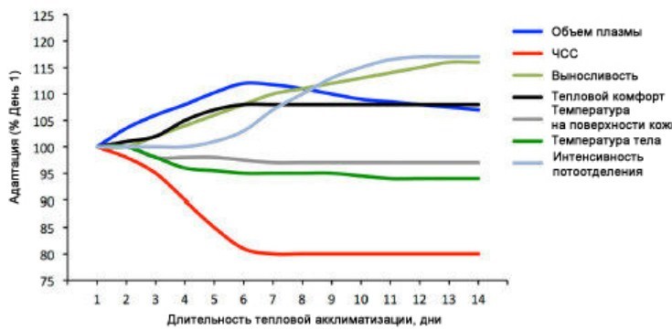 Temps d'adaptation