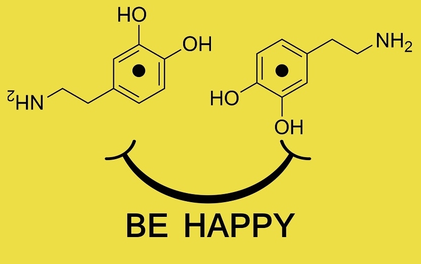 Dopamine increases motivation and resistance to stress, but everything should be in moderation