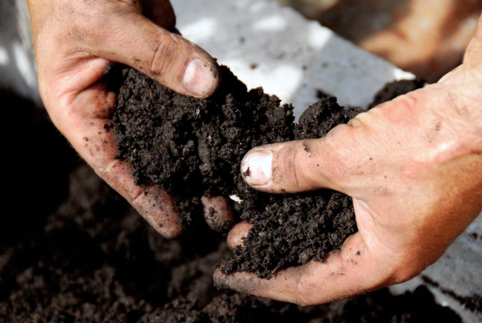 Подготовка почвы для посадки семян баклажан