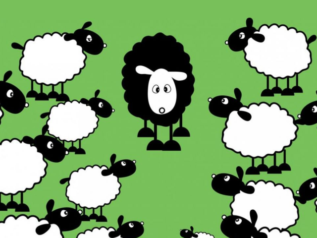 «Одна паршивая овца все стадо портит»: значение пословицы, примеры из жизни