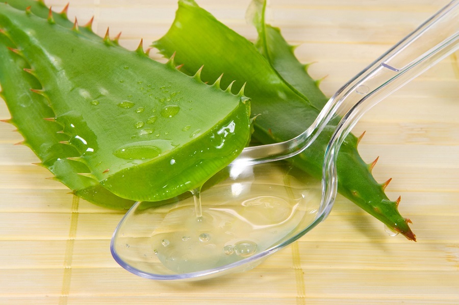 Aloe from cracks