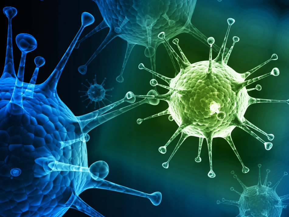 الاختلافات في العدوى الفيروسية والبكتيرية