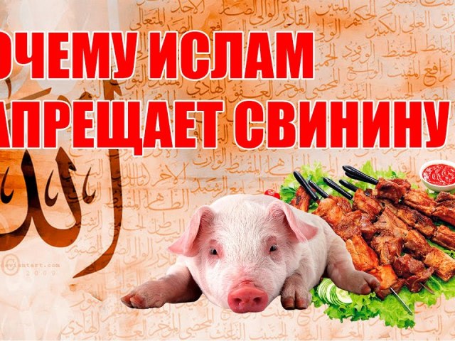 Why are Muslims, Jews, Jews do not eat pork: history, legend, pork ban from Muslims. Why is pork prohibited in Islam? What will happen if a Muslim or a Jew will eat pork? Are there any countries where Muslims are allowed to eat pork?