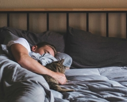 Spouses sleep separately: why do pairs in relations need to sleep separately?