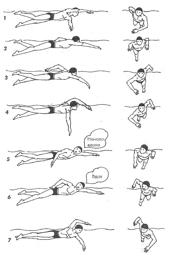 Плавание кролем на груди: правильное дыхание