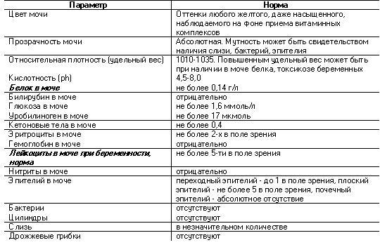 Urine analysis during pregnancy, norm