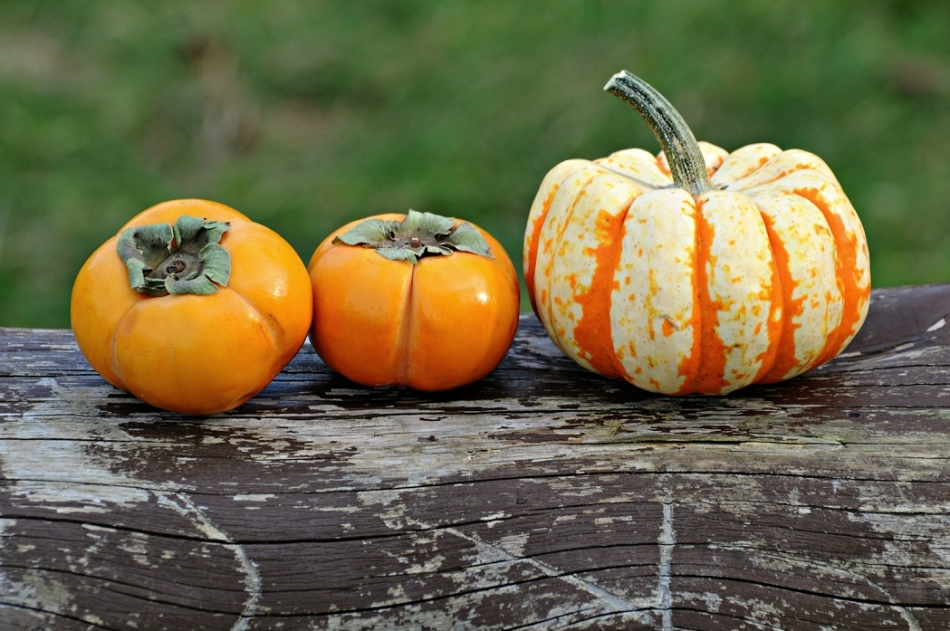 Katere lastnosti imajo persimmon?