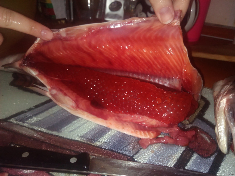 Bagaimana cara membilas kaviar salmon merah muda di rumah sebelum garam?