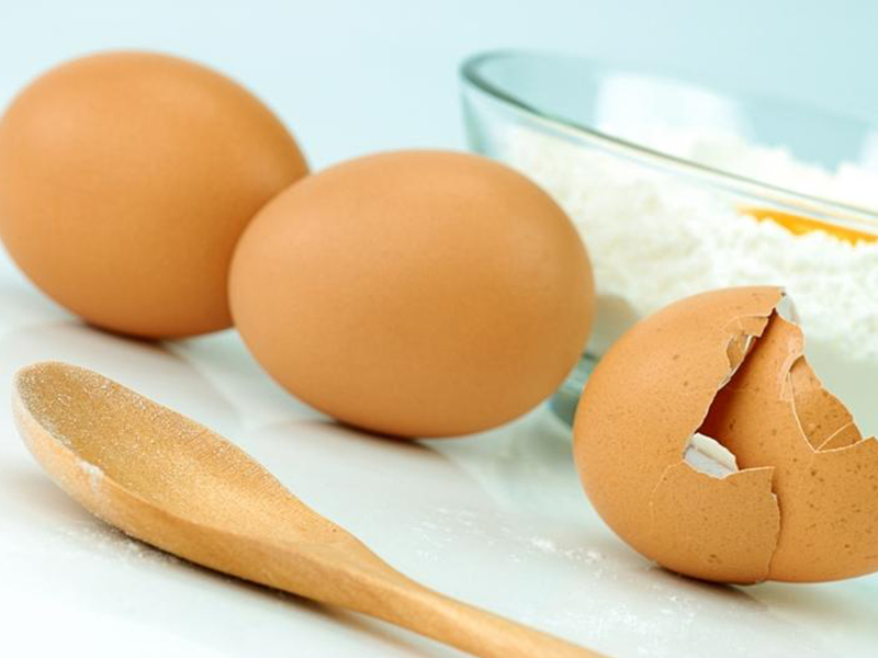 The use of eggs can cause Salmonella infection with Salmonella