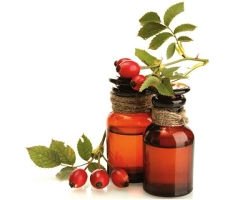 Minyak Rosehip: Sifat terapeutik, kontraindikasi dan instruksi untuk digunakan. Minyak biji rosehip dalam tata rias, ginekologi, kedokteran gigi, pada penyakit THT