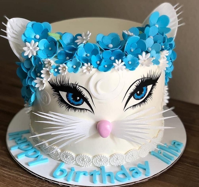 Cake cat