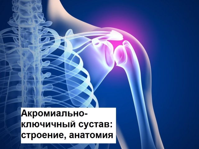 Acromic-key joint: shape, structure, anatomy, blood supply, movement, muscles, ligaments, classification, functional features, characteristics. Acromial joint diseases: dislocation, arthrosis, deforming osteoarthrosis, gap - treatment