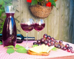 Do I need to add water and sugar to home grape wine: how much, when and how often?
