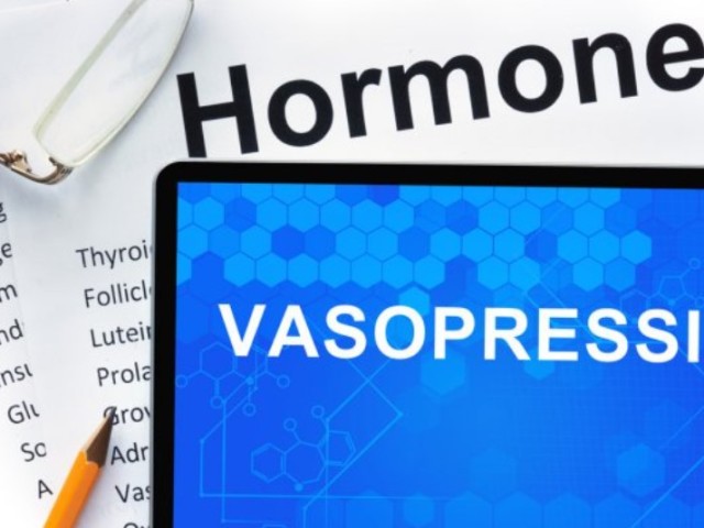 O hormonu vazopresin: učinki, za katere je odgovoren, kaj se zgodi s povečanjem in zmanjšanjem kazalnikov v telesu?