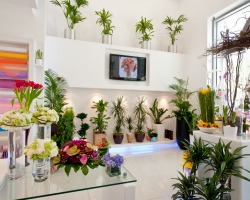 Business Ida-opening of the floral salon: costs, profit