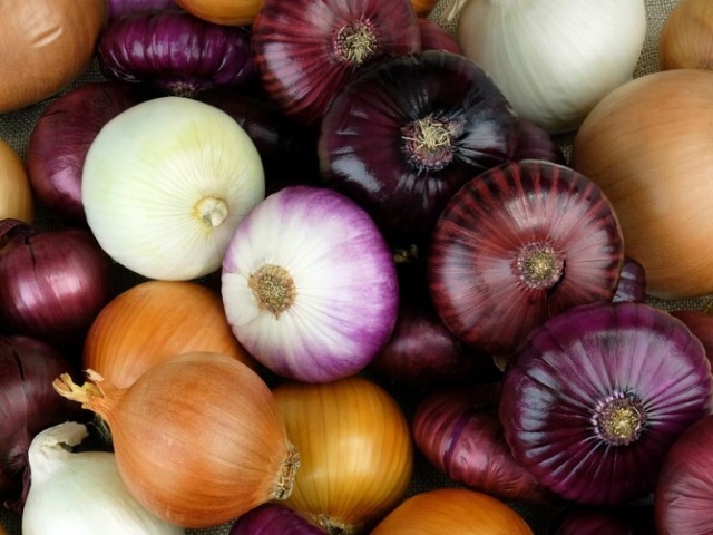 Onions for intestinal diseases, diabetes - application: folk recipes