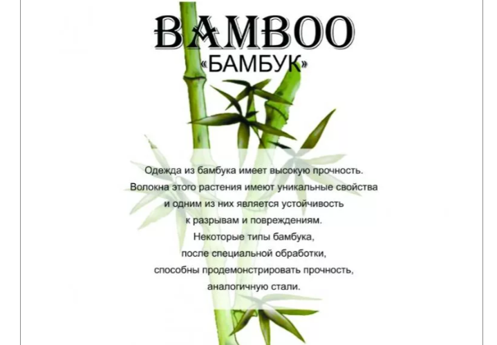 Растение бамбук: интересные факты