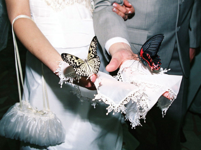 Sorprese per il matrimonio degli sposi da amici, amiche della sposa, genitori, sorelle, migliori amici, parenti: idee originali. Che sorpresa rendere la sposa e la sposa dallo sposo al matrimonio: le migliori idee di sorprese di matrimonio