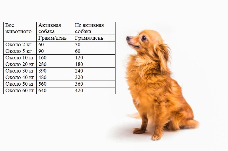 Peso y actividad