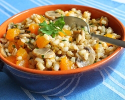 Pumpkin porridge friendship, pearl barley, buckwheat: the best recipes