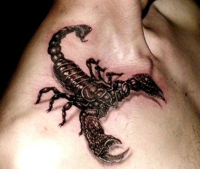 Pomen tatoo škorpijona