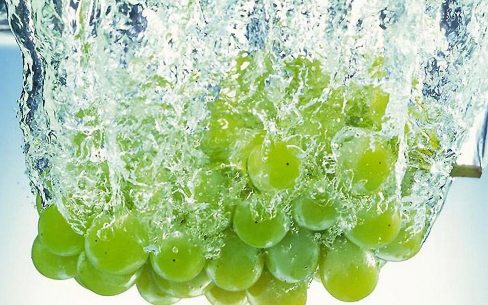 Green grapes in a dream