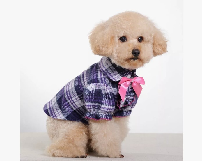 Summer fashionable clothing for small breeds