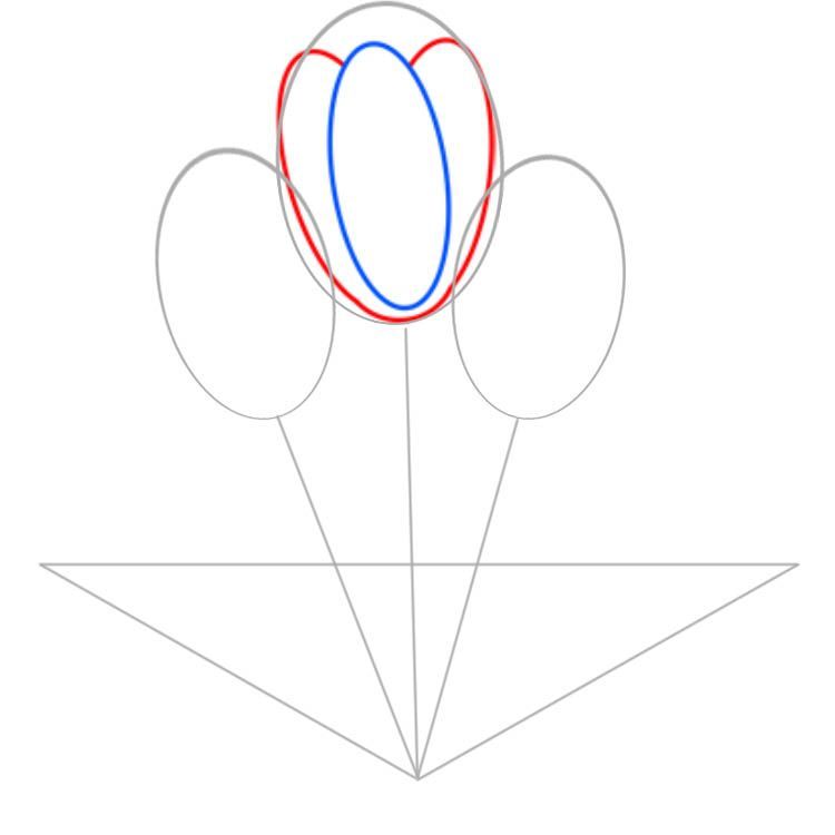 We draw three petals inside the oval
