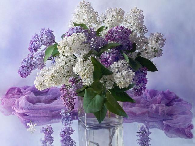 How to save a bouquet of lilac in a vase longer? What to do so that the lilac stood in a vase longer, in what water to put?