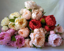 Beli, rdeči in roza peoni so simbol, katerih: pomen cvetov po Feng Shuiju. Kaj pomeni peonije Feng Shui v hiši, spalnici, za poroko, ljubezen, energijo. Ali je mogoče v apartma v spalnici postaviti šopek peonije: pomen rože za žensko