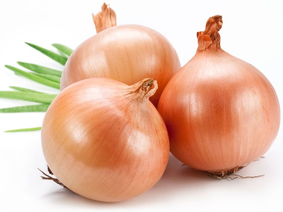 Onion storage recommendations